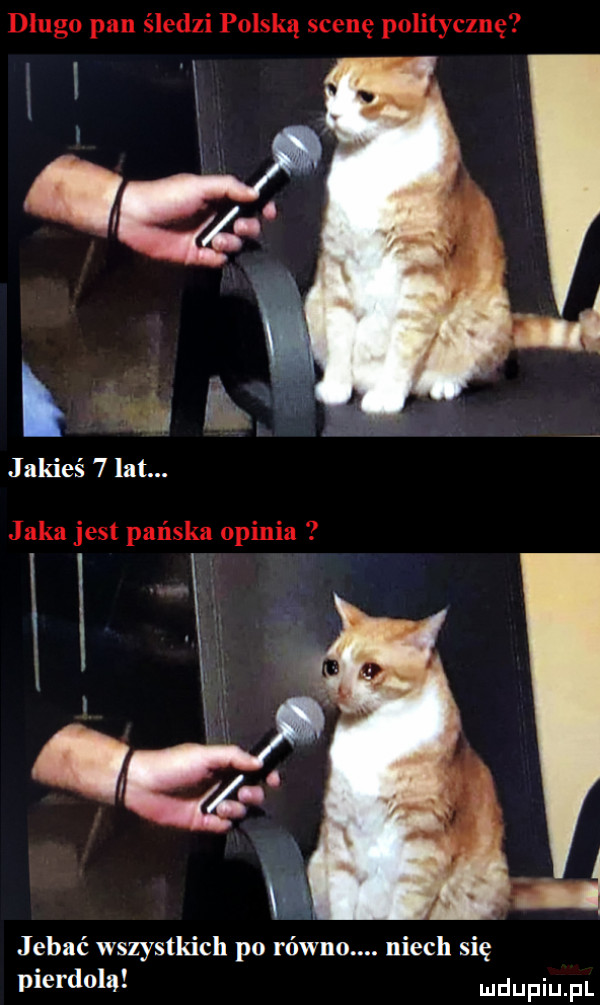 jebać wszystkich p  równo. niech się pierdola udupiu pl