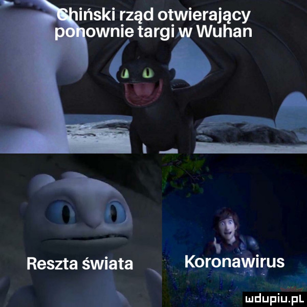 iński rząd umierający ognie targi wuhan   ó gs reszta świata n koronąwiljus ludupiuiiil