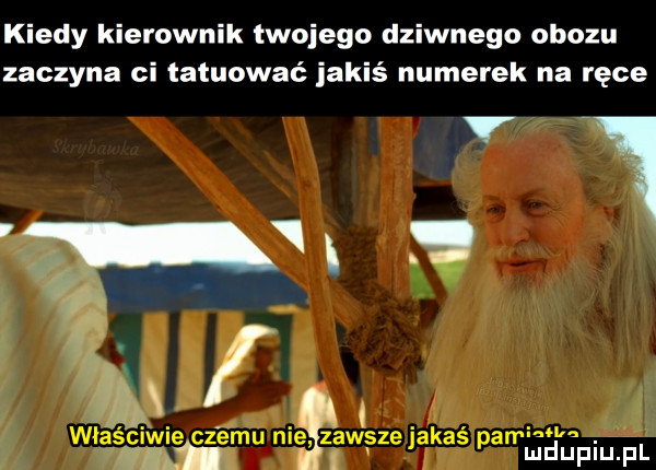 kiedy kierownik twojego dziwnego obozu zaczyna ci tatuować jakiś numerek na ręce vw. wf tw właściwie czemu nie zawsze jakas pan naw  a ludupiu. pl