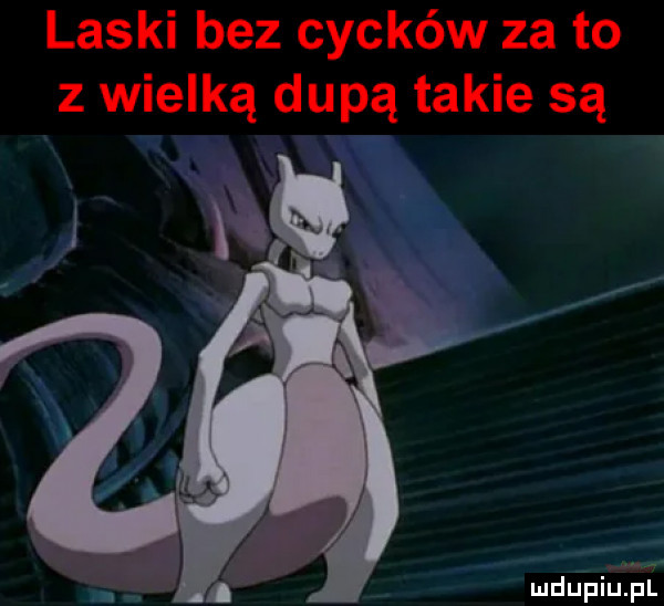 laski bez cycków za to z wielką dupą takie są mduąpiużi lil