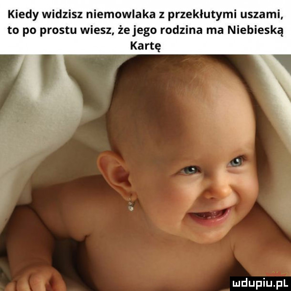 kiedy widzisz niemowlaka przekłutymi uszami to po prestu wiesz żejego rodzina ma niebieską kartę