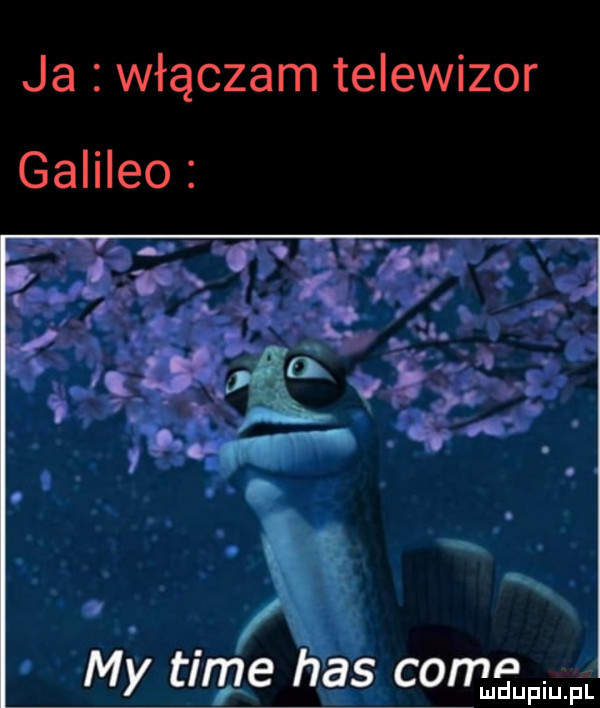 ja włączam telewizor galileo my tirpg has camp bi mdupiuﬁl