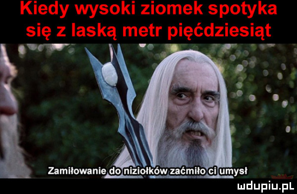 w zamiłowanie do nlzlołków ućml o gi umyﬂ