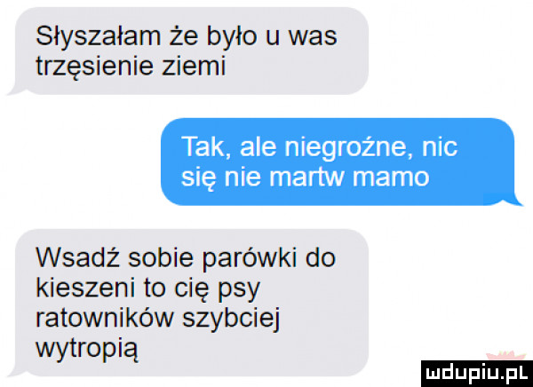 słyszałam że było u was trzęsienie ziemi tak ale niegroźne nic się nie martw mamo wsadź sobie parówki do kieszeni to cię psy ratowników szybciej ro i w p ą