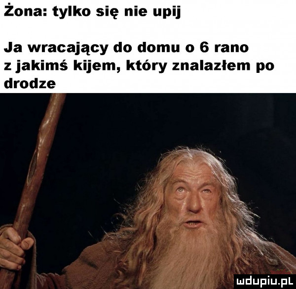 żona tylko się nie upij ja wracający do domu o   rano zjakimś kijem który znalazlem po drodze