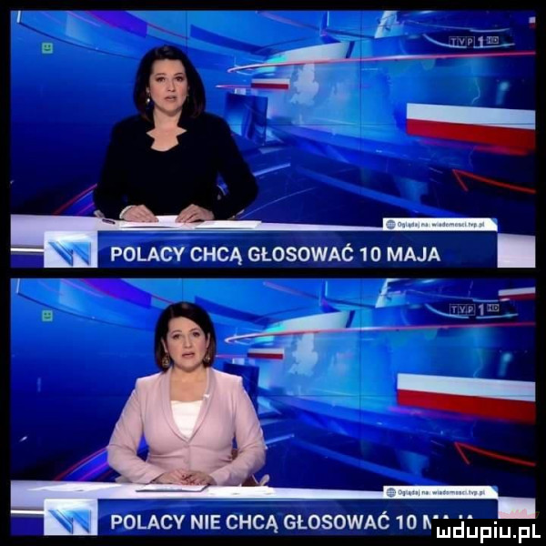 ę. polacy nie chcą glosowaó    lilla upiupl