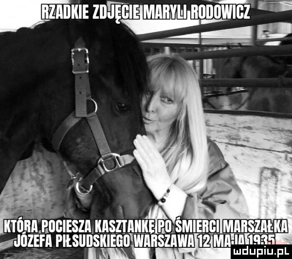 hzadkie zbheieimathiibiiﬂnwigz iu s in jp z hu um nd magm
