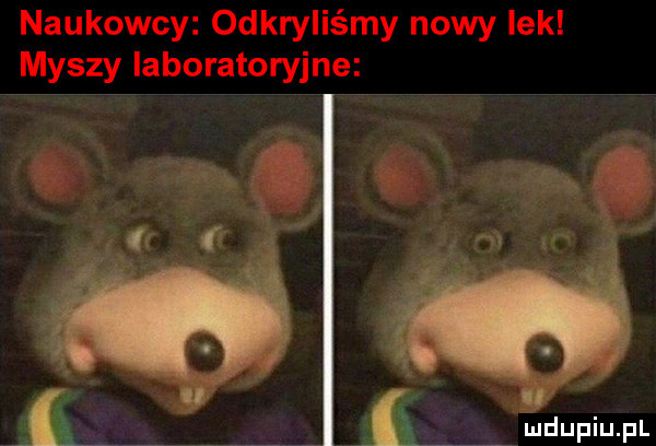 naukowcy odkryliśmy nowy lek myszy iaboratoryjne nią.     i s adupiu pl