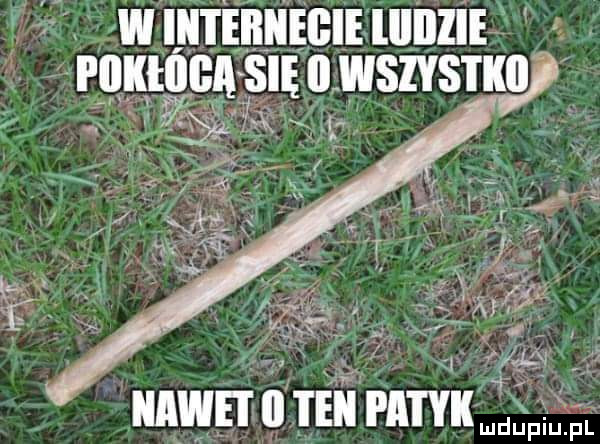 w invinnicliulnzlv roman gig   wgivsnvn ani v iv. mvwn   if anvlv mdupiu. pl