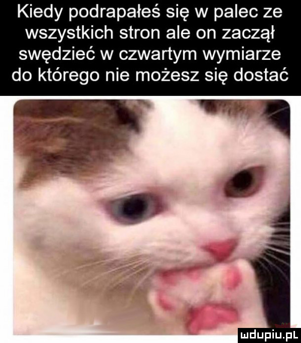 kiedy podrapałeś się w palec ze wszystkich stron ale on zaczął swędzieć w czwartym wymiarze do którego nie możesz się dostać