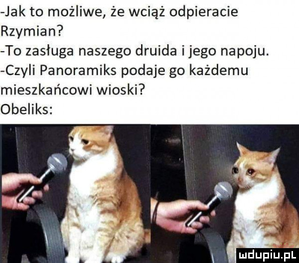 jak to możliwe że wciąż odpieracie rzymian to zasługa naszego druida ijego napoju. czyli panoramiks podaje go każdemu mieszkańcowi wioski obeliks