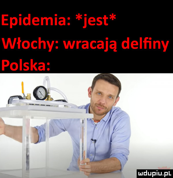 epidemia jest włochy wracają delfiny polska