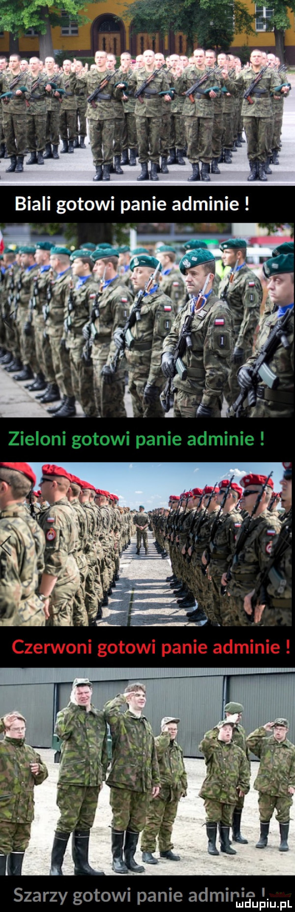szarzy gotowi panie adminin. mduplu pl