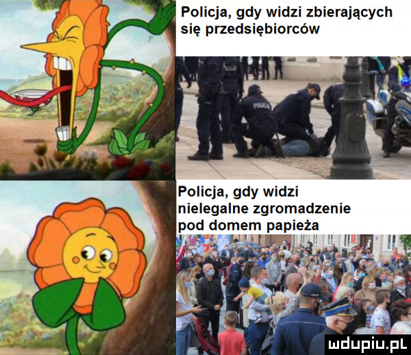 policja. gdy widzi zbierających się przedsiębiorców policja gdy widzi nielegalne zgromadzenie pod domem papieża is ludupiu. pl