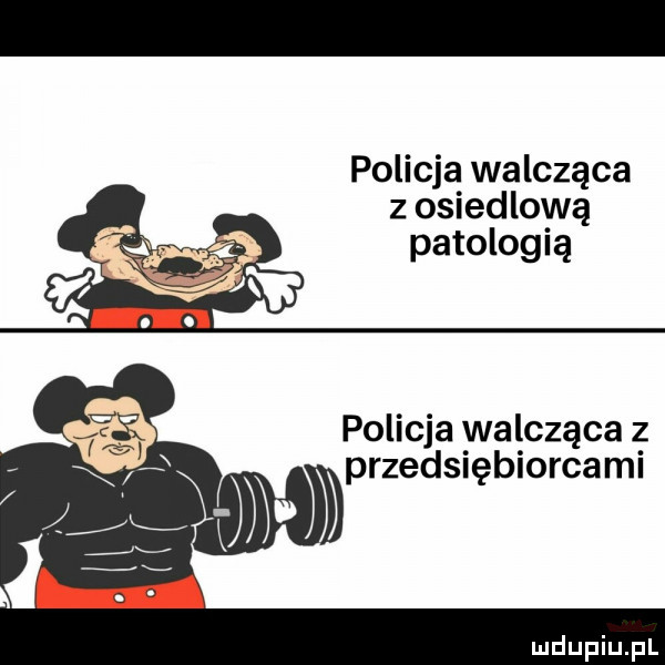 policja walcząca z osiedlową w patologią policja walcząca z x a przedsiębiorcami