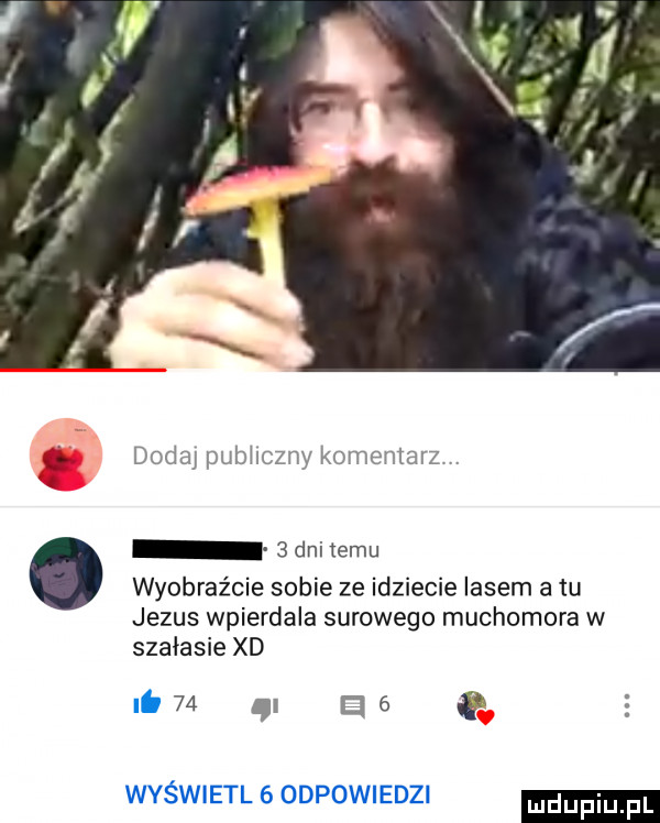 dodaj publiczny komentarz   dni temu wyobraźcie sobie ze idziecie lasem a tu jezus wpierdala surowego muchomora w szałasie xd ni    i   . wyświetl   odpowiedzi