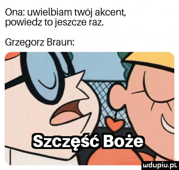 ona uwielbiam twój akcent powiedz to jeszcze raz. grzegorz braun