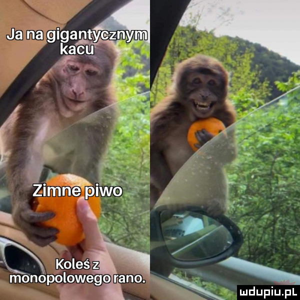 s. b koleś z monopolowego rano. mdupiu il
