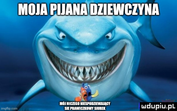 ilia i iiiiiiii iiiiewgzyiiii