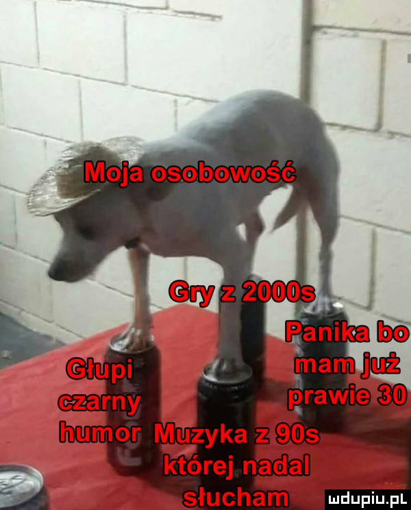Obrazek