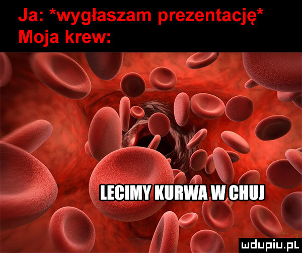 agar   lecimy kiiiłwa w iii