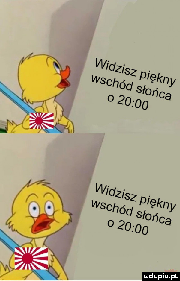 upiu pl