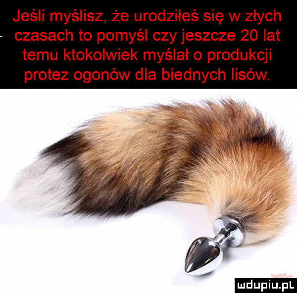 jeśli myślisz że urodziłeś się w zlych czasach to pomyśl czy jeszcze    lat temu ktokolwiek myślało produkcji protez ogonów dla biednych lisów. ludu iu. l