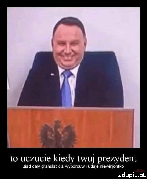 to uczucie kiedy tfuj prezydent zład cacy granulat dla wyborców i udaje niewmjontko