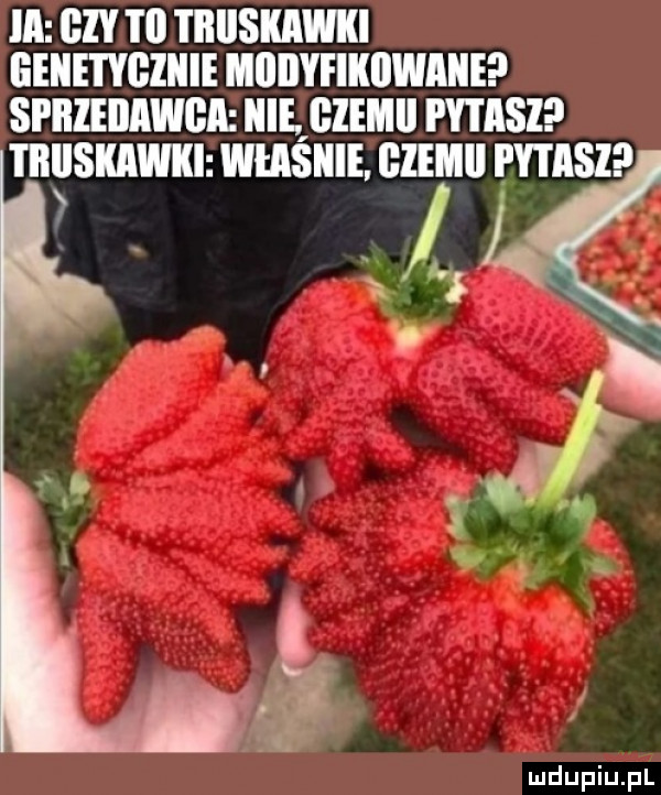 ia   v m i illlskawki eeiietygiiiie miiiiyfikijwmie sprzedawca nie gzemii i y i isi ml l kawki władnie. hemii phare