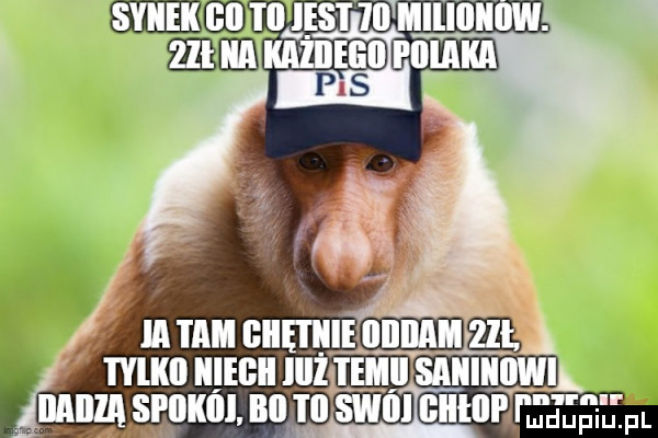 t  saiii eh lil         pr