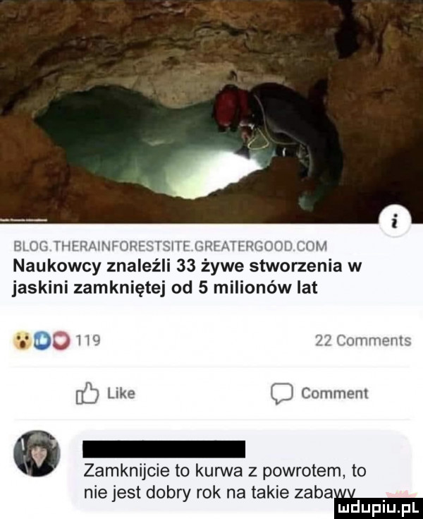 i m i i ii uw. i xiu ii iii hifi f i mur wm naukowcy znaleźli    żywe stworzenia w jaskini zamkniętej od   milionów lat fb like comment zamknijcie to kurwa z powrotem to nie jest dobry rok na takie błam