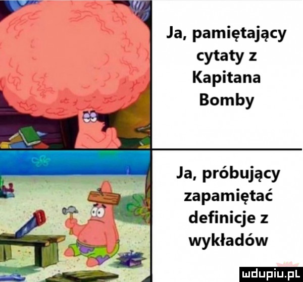 ja pamiętający cytaty z kapitana bomby ja próbujący zapamiętać definicje z wykładów ludu iu. l