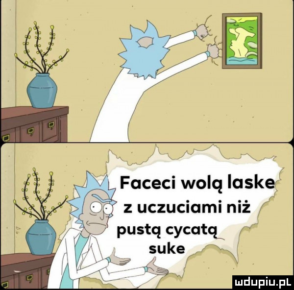 faceci wolą iaskef z uczuciami niż pustą cycatek ff suke