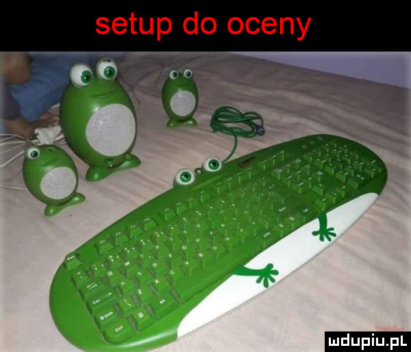 setup do oceny