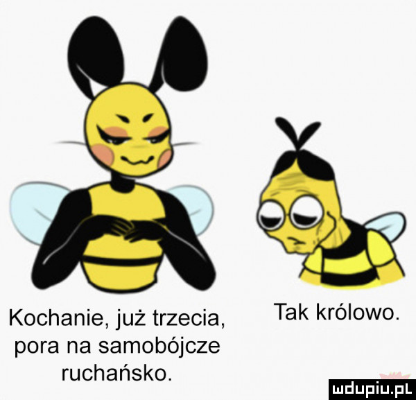 kochanie już trzecia tak królowo. pora na samobójcze rachańsko. ludu iu. l