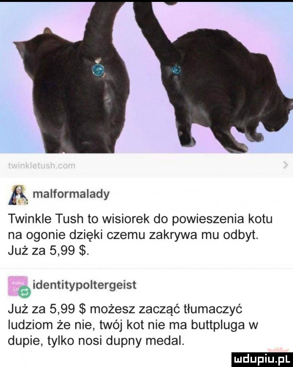 łk maiformalady twinkle tush to wisiorek do powieszenia kotu na ogonie dzięki czemu zakrywa mu odbyt. już za     . identitypoltergeist już za      możesz zacząć tłumaczyć ludziom że nie tao j kot nie ma buttpluga w dupie tylko nosi dupny medal. ludu iu. l