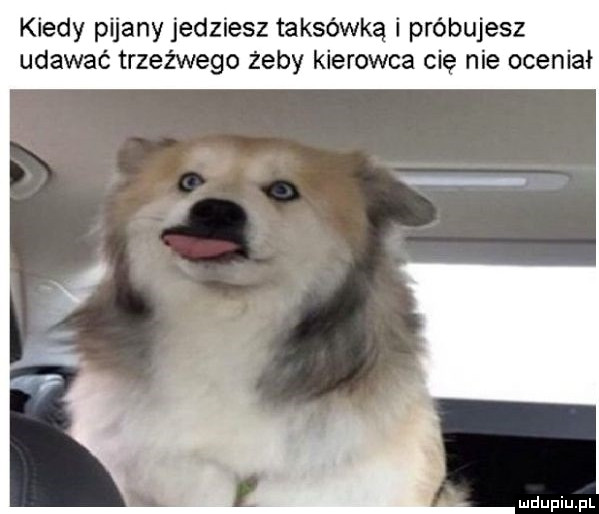 Kiedy pijany jedziesz