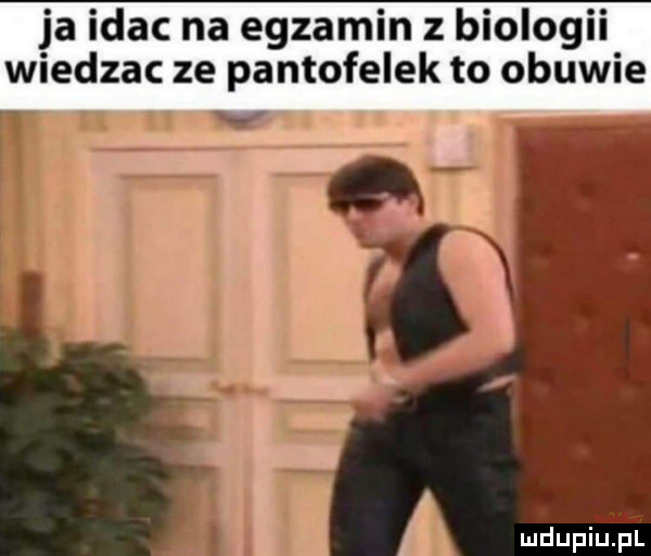 ja idac na egzamin z biologii wiedzac ze pantofelek to obuwie. v