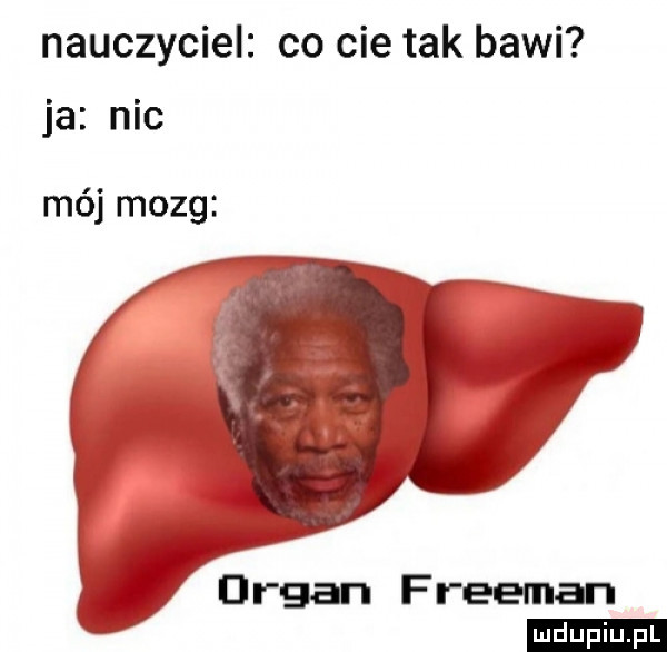 nauczyciel co cie tak bawi ja nie mój mozg