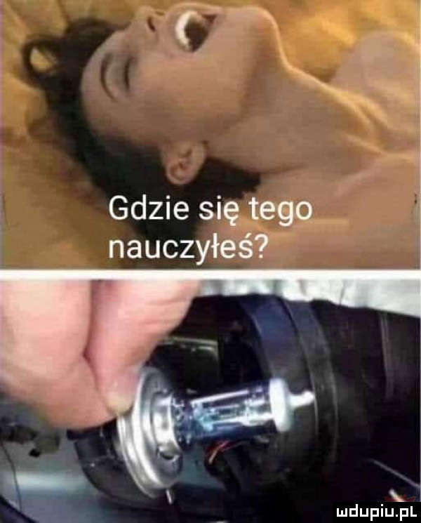 x   xiu gdzie się tego nauczyłeś x a ludupiu pl