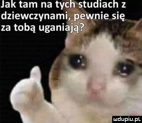 dziewczynami oewnie się za tobą uganiaﬂe ludu iu. l