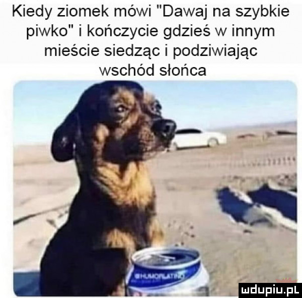 kiedy ziomek mówi dawaj na szybkie piwko i kończycie gdzieś w innym mieście siedząc i podziwiając wschód słońca