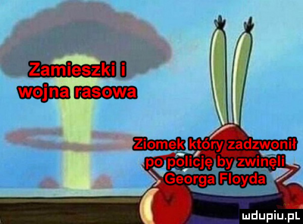 w który zadzwonił      zwinęli u w