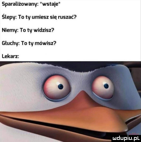 sparaliżowany wstaje ślepy to ty umiesz się ruszać niemv to ty wldzlsz głuchy to ty mówisz lekan