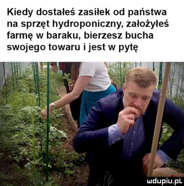 kiedy dostałeś zasiłek od państwa na sprzęt hydroponiczny założyłeś farmę w baraku bierzesz bucha swojego towaru ijest w pytę