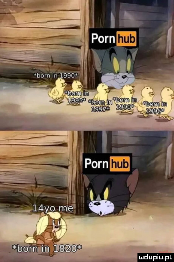 upiu pl