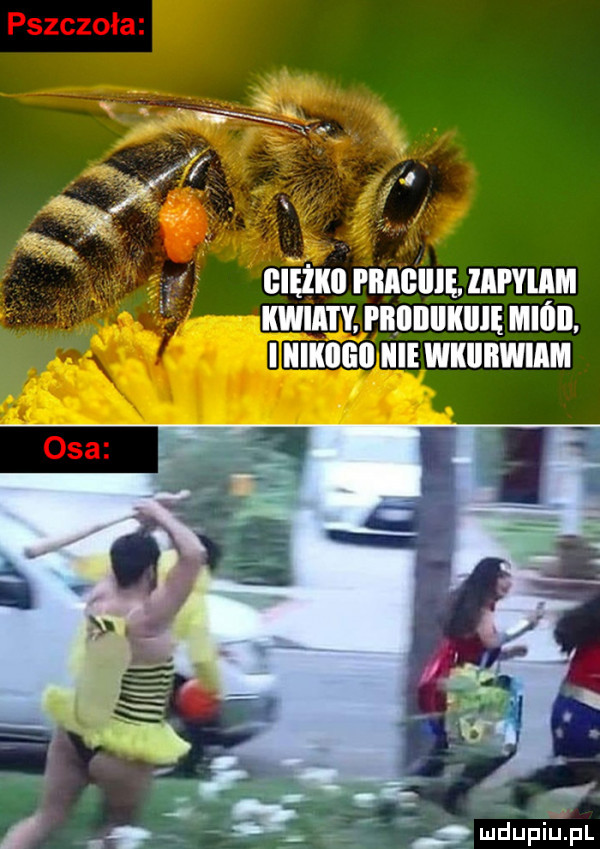 i ź ą ięikii fiiagiiię lafylmłi kwiaęęrdiiiikiię midi iiikoi ibl nie wkiiiiwiim