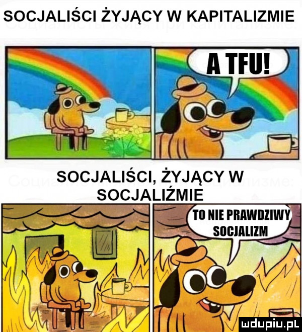 socjaliści żyjący w kapitalizmie socjaliści żyjący w socjalizmie aulnnnwnnwv. sncuullm