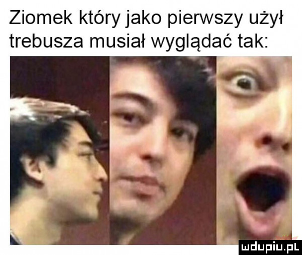 ziomek który jako pierwszy użył trebusza musiał wyglądać tak