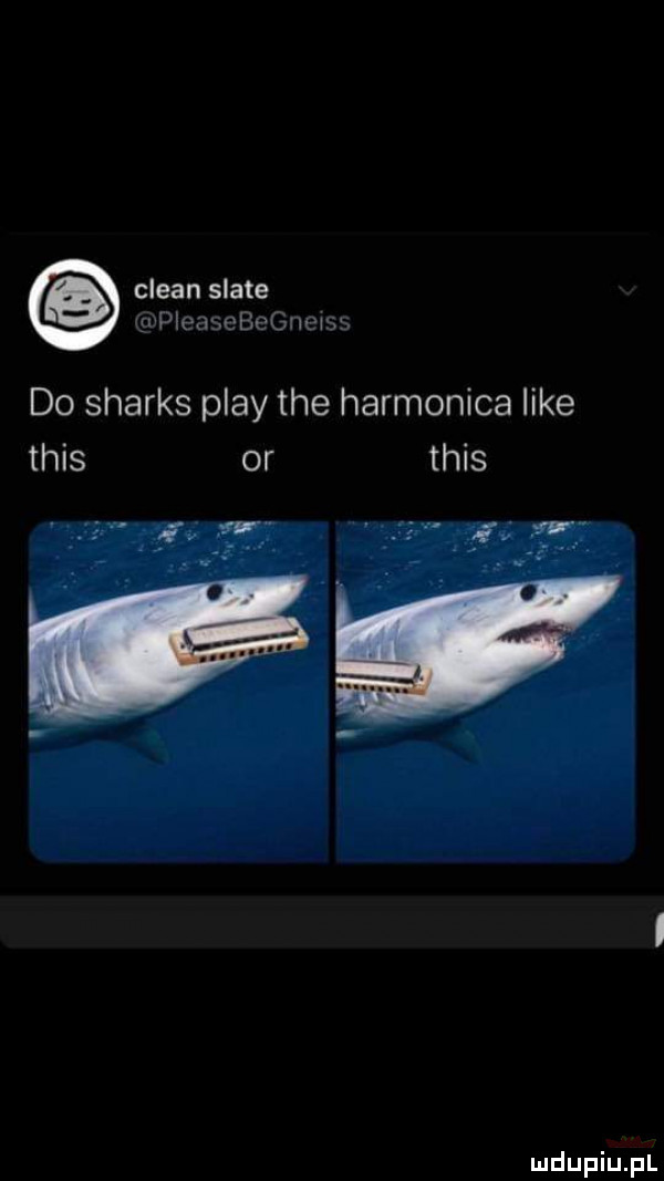 clean skate wpłmucbeg wan do sharks play tee harmonika like tais or tais